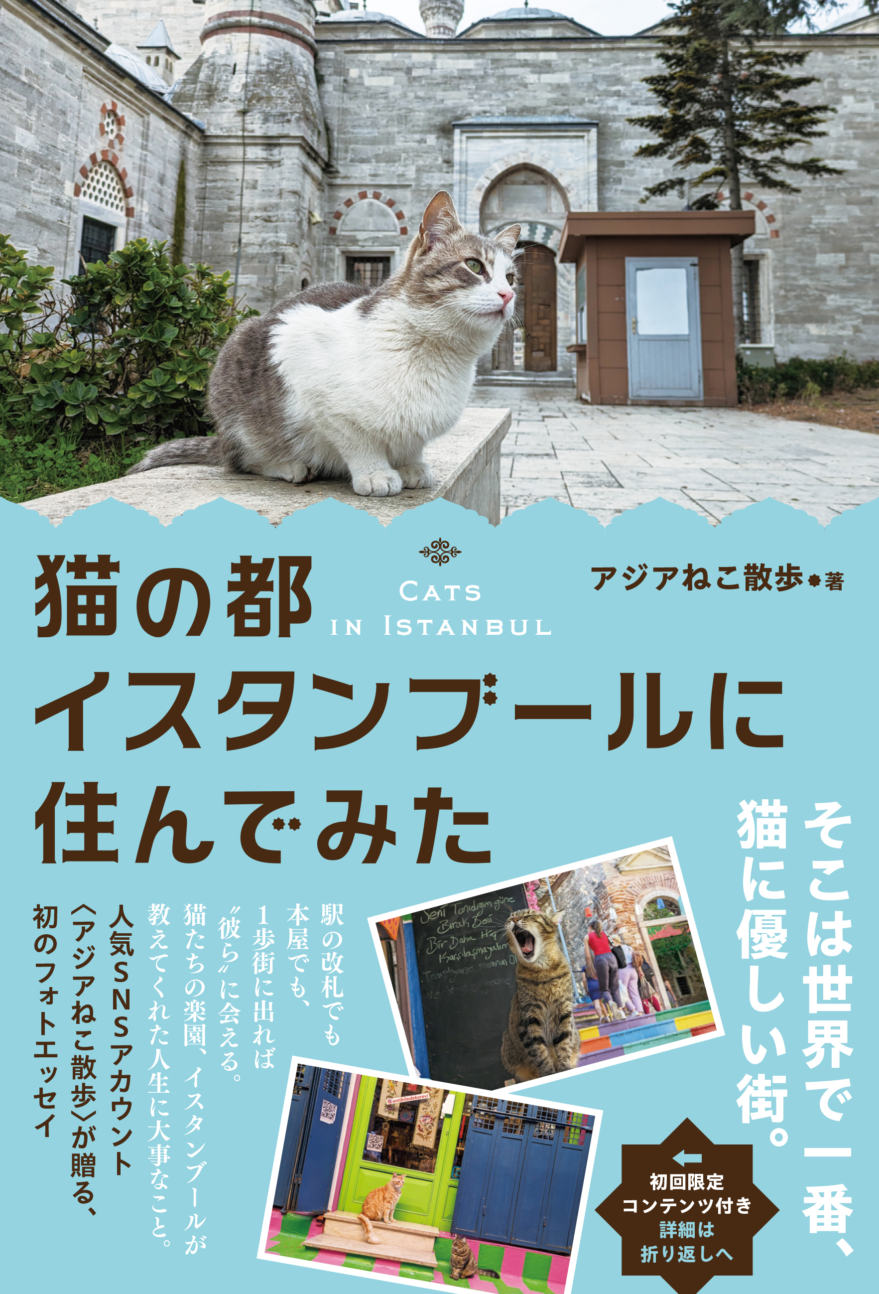 猫の都イスタンブールに住んでみた